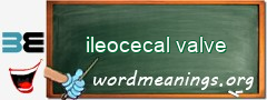 WordMeaning blackboard for ileocecal valve